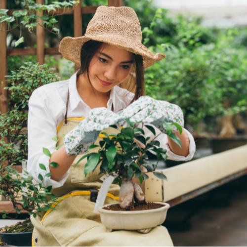 Gardening