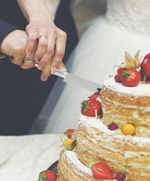 https://cdn.shopify.com/s/files/1/0925/0203/2693/files/HL3339-Stainless-Steel-Pancake-Knife_All_6454_1-2.jpg?v=1736055550