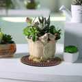 https://cdn.shopify.com/s/files/1/0925/0203/2693/files/Untitleddesign_20_249ac6a0-f878-4698-9597-a84da64d48f7.png?v=1765447558