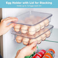 https://cdn.shopify.com/s/files/1/0925/0203/2693/files/WD0844-12-Grid-Transparent-Egg-Storage-Box-With-Lid_All_3364_1-4.jpg?v=1736054237