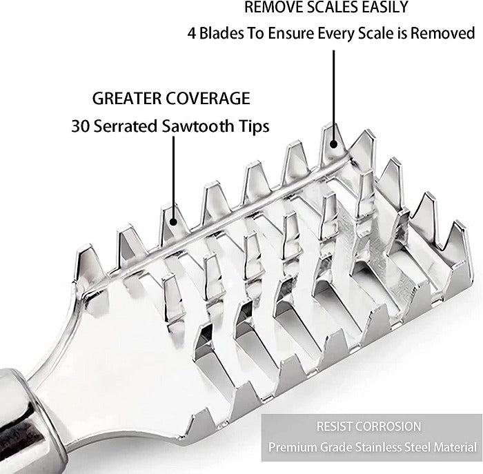 https://cdn.shopify.com/s/files/1/0925/0203/2693/files/WR0083-1-Steel-Fish-Scale-Scraper_All_4708_1-3.jpg?v=1736087111