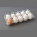 https://cdn.shopify.com/s/files/1/0925/0203/2693/files/refrigeratoreggstorage.png?v=1761807860